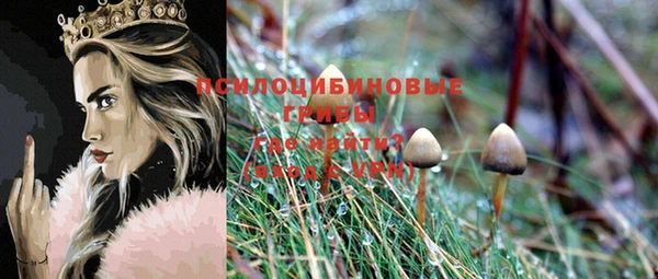 меф Пролетарск